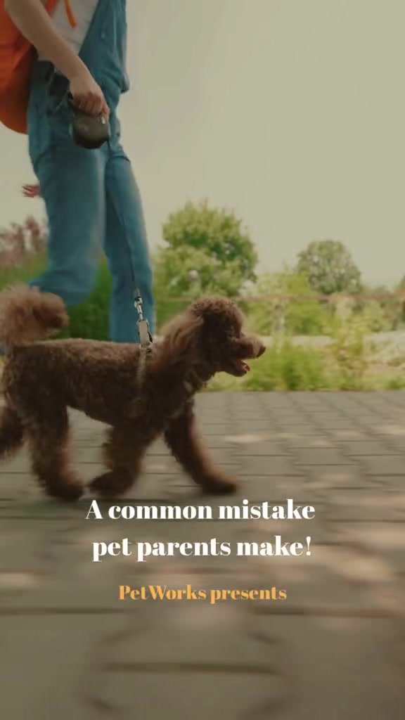 @Petworks.com
