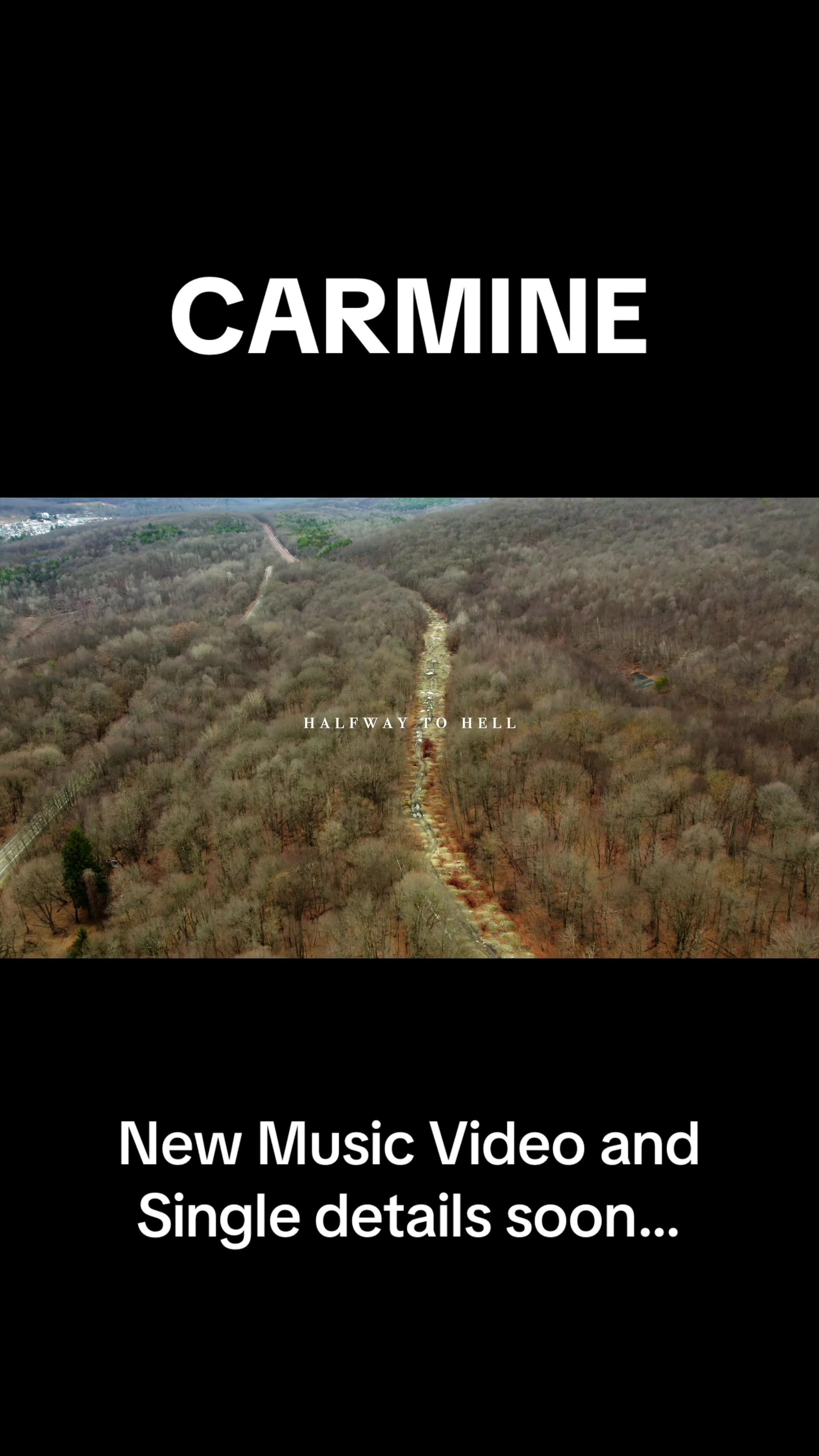 @CarmineGontzMusic