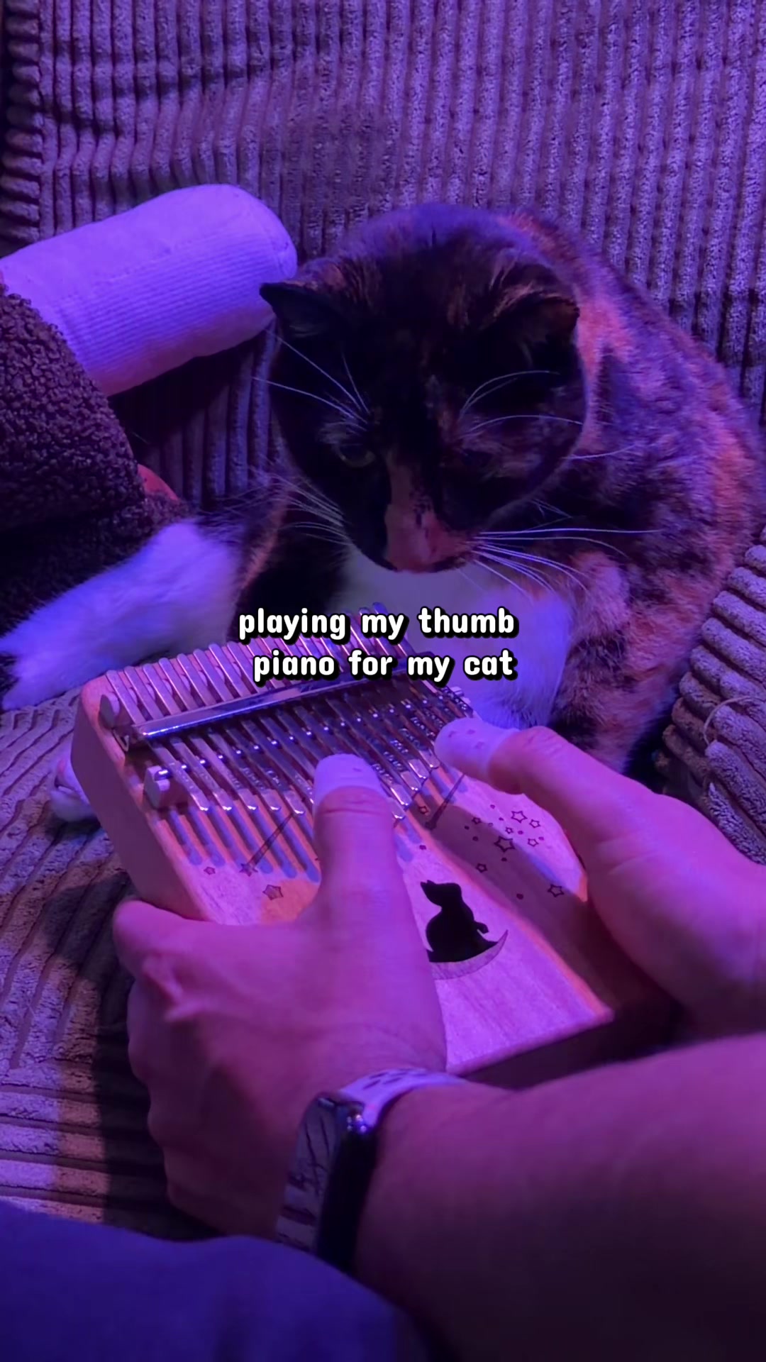 @my3catz 🐈🐈⬛🐈 | UGC