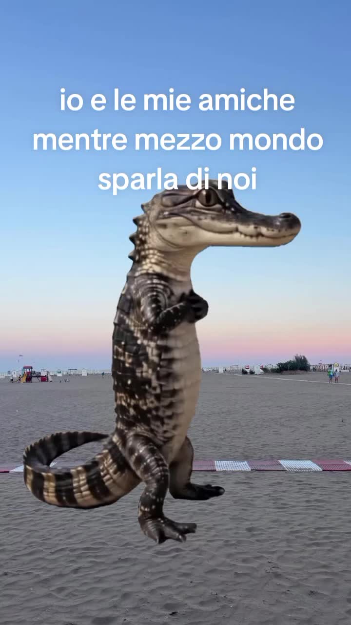 @⭐⭐⭐