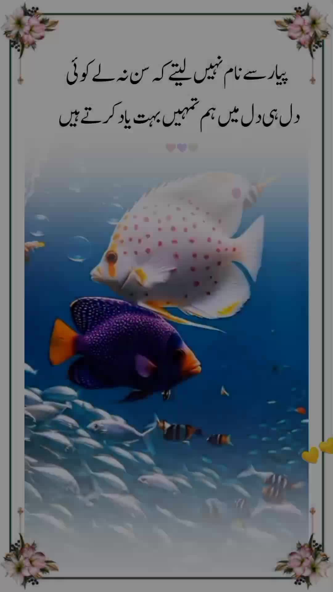 @💔𝐈𝐬𝐡𝐪 𝐊𝐢 𝐒𝐚𝐳𝐚😭
