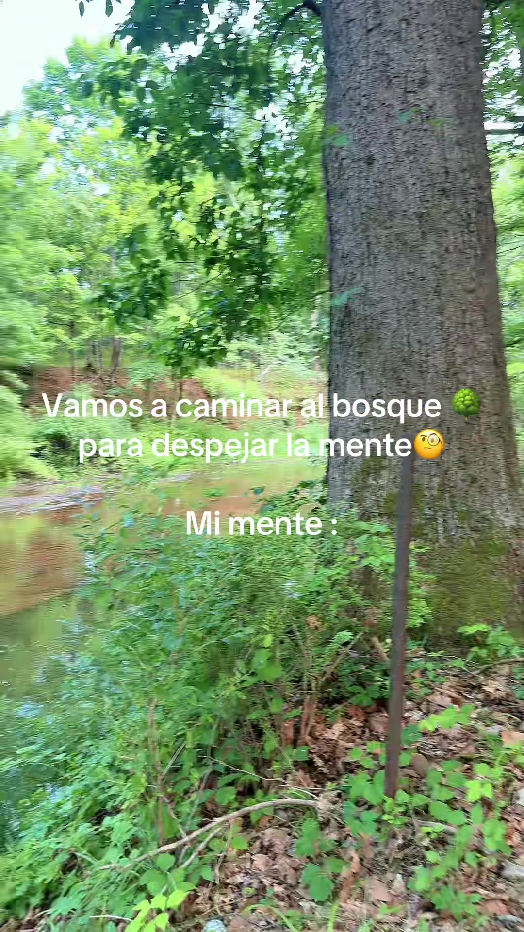 @☯️Cesar♾️M🔯🦉🇪🇨