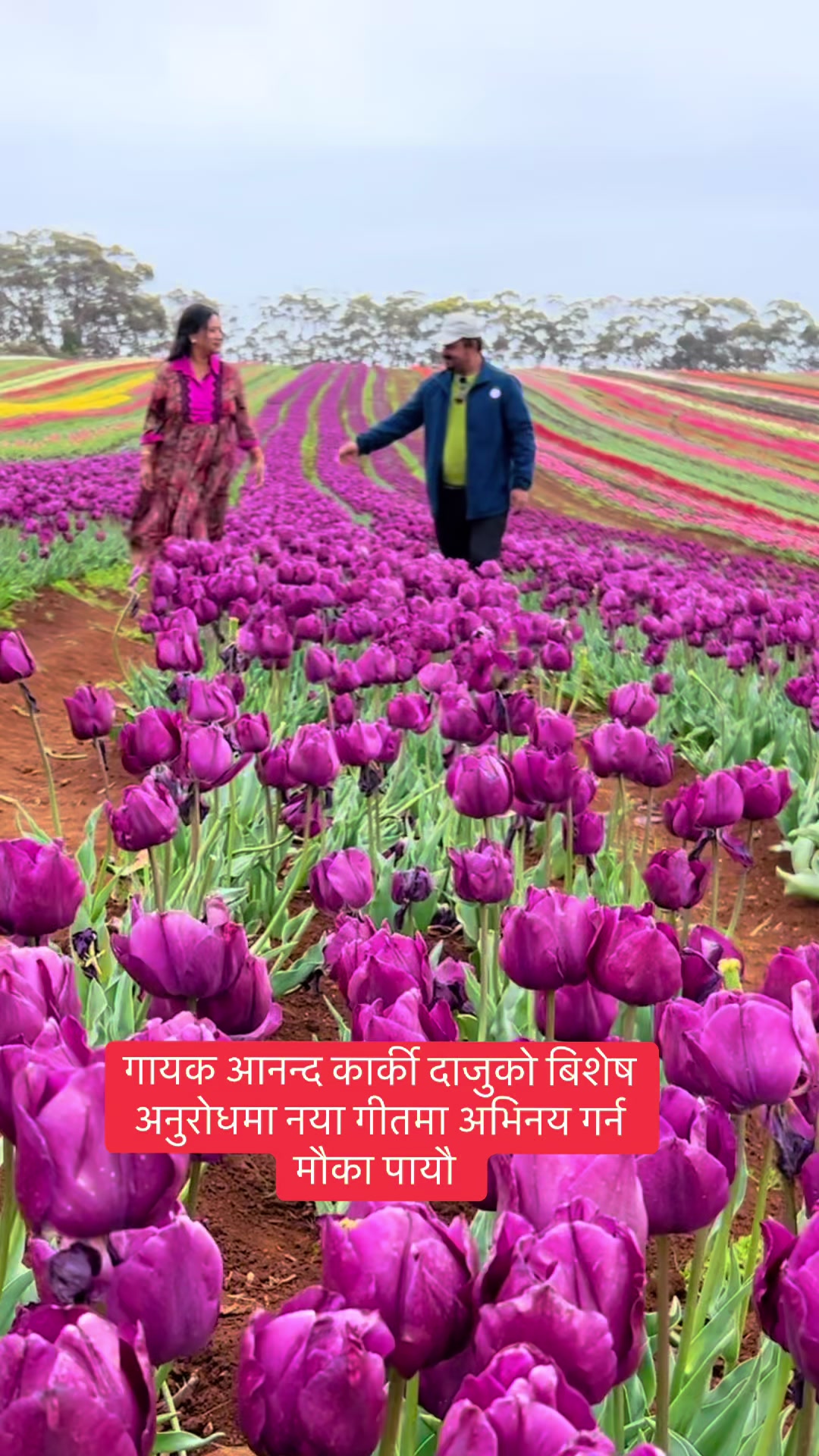 @Shankar Basnet