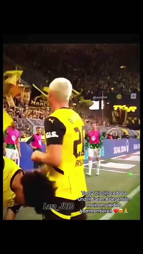 @F&uuml;r immer der BVB 🖤💛🥳JB10❤️