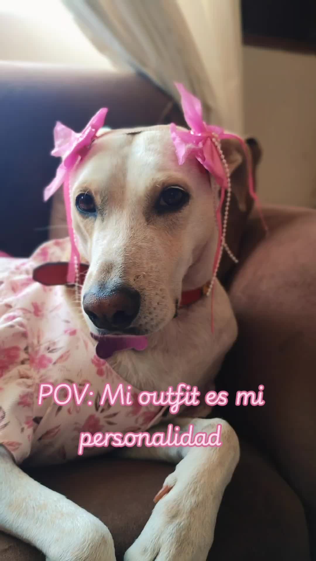@winnie ❤🦮