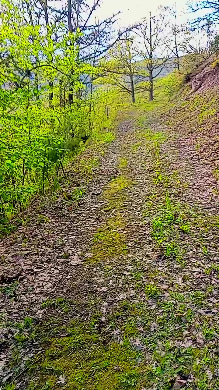 @Oko čamparasto 🌼
