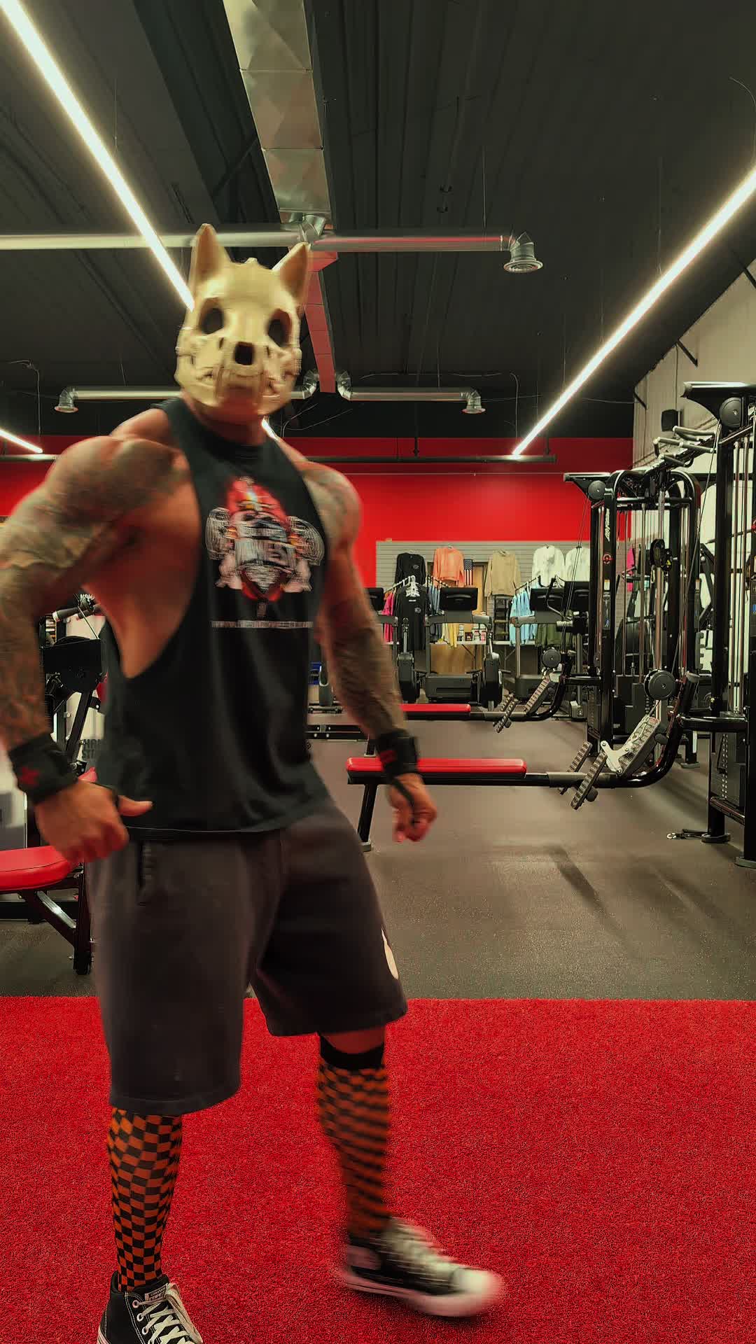 @Bodybuildingdoglover