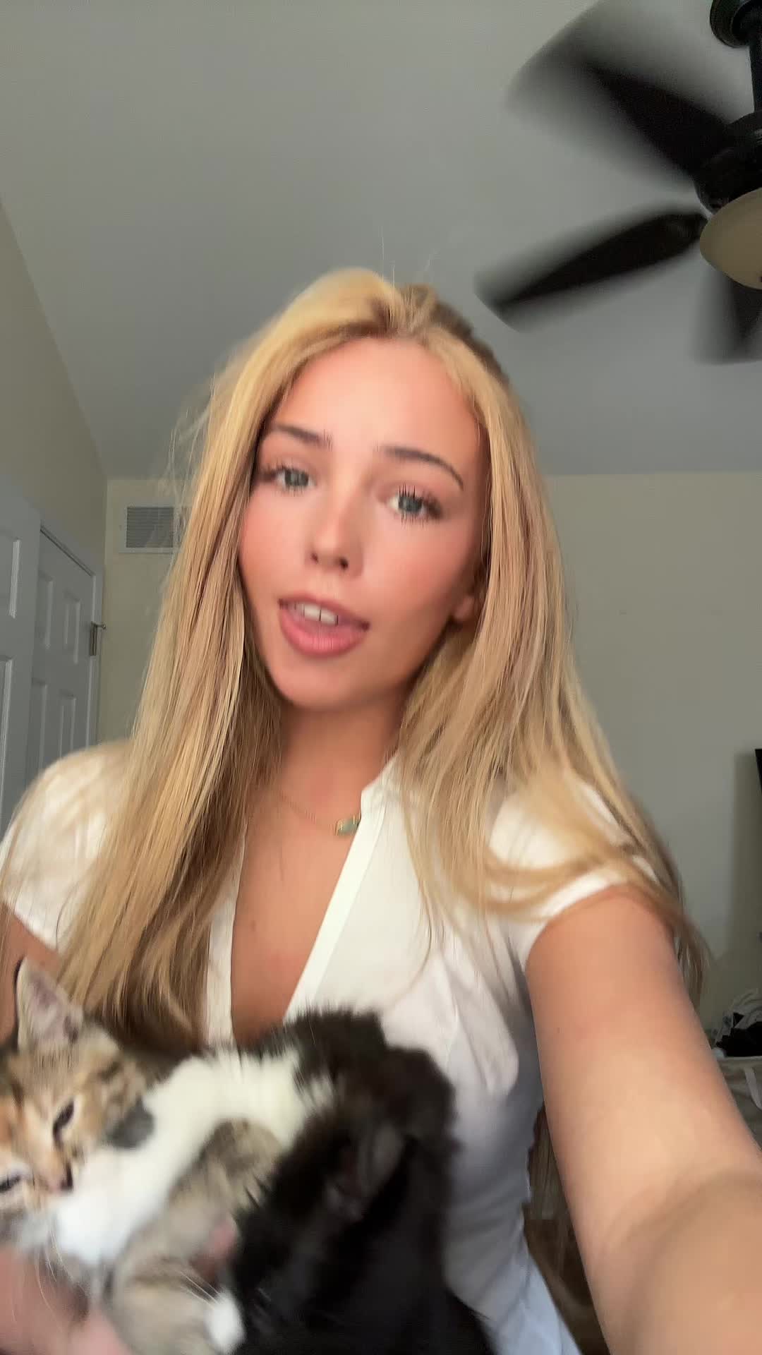 @ky