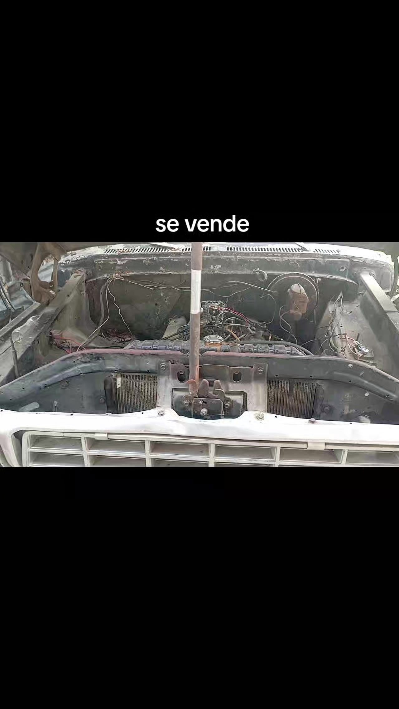@el cuti leo