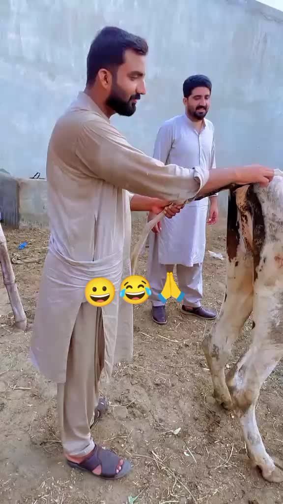 @❤️ویٹرنری ڈاکٹر ❤️