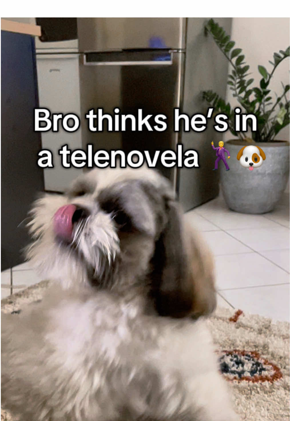 @Noven