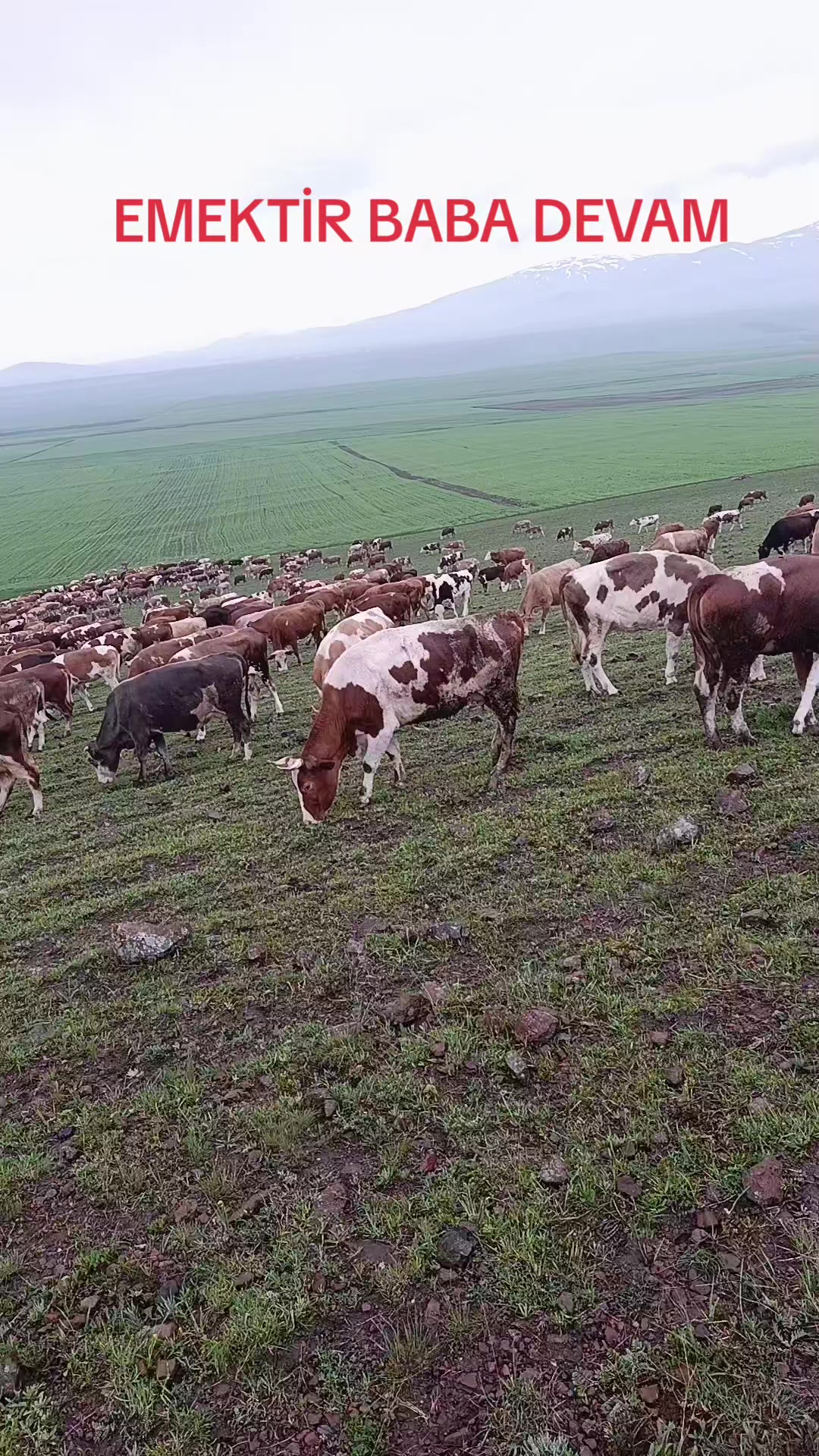 @FERHAT ÇUKU 76☀️