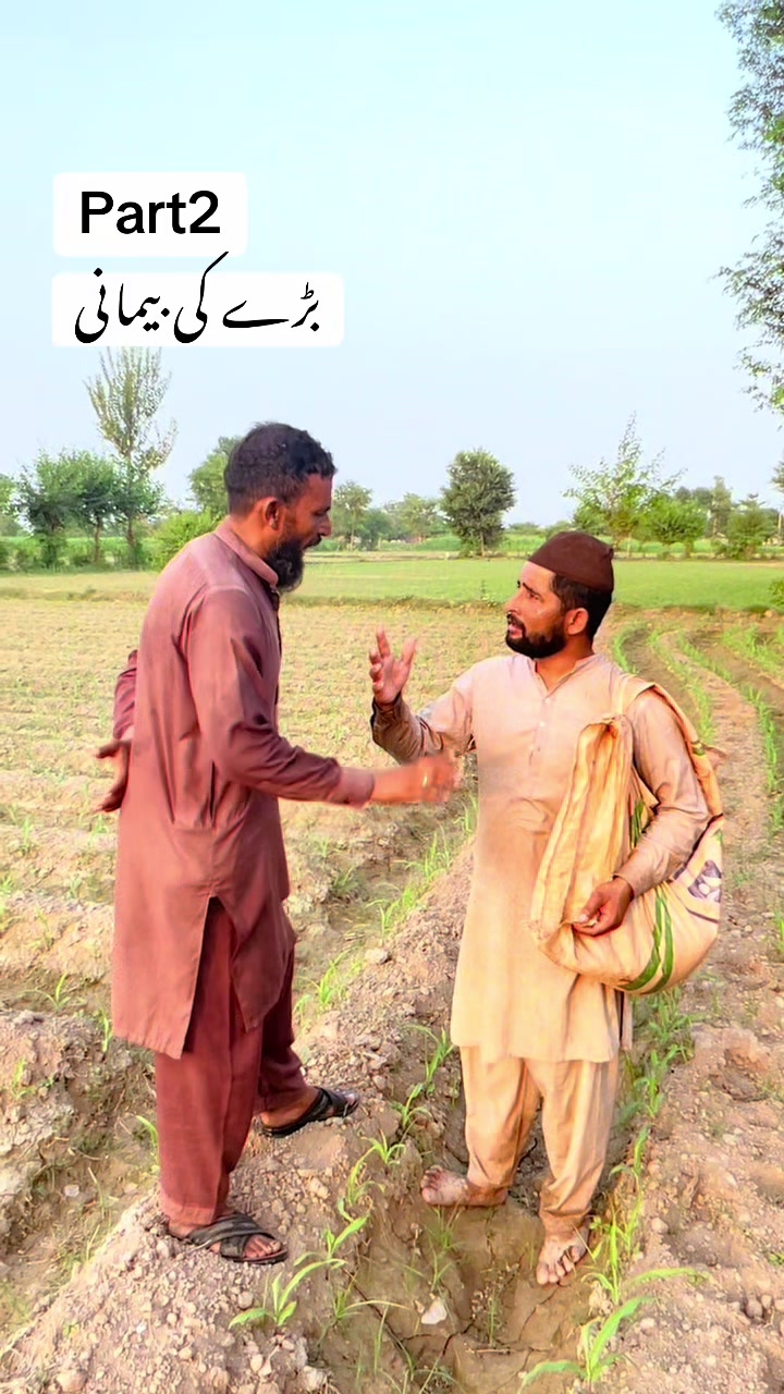 @پینڈو بوائز 378