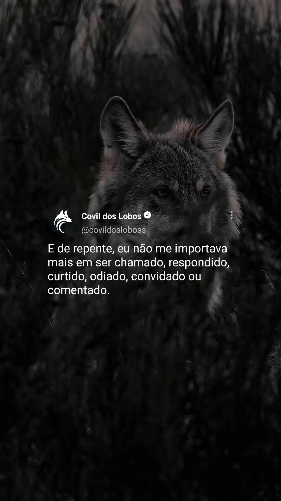 @Covil Dos Lobos