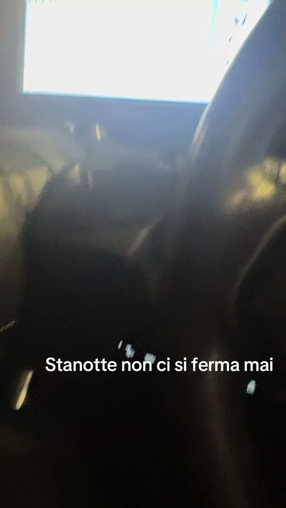 @stefaninofila