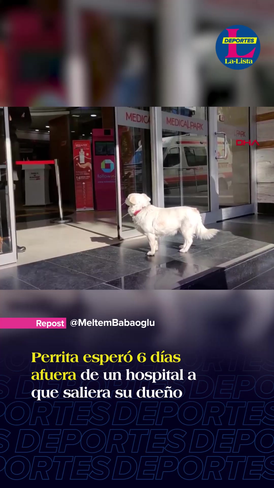 @La-Lista Deportes