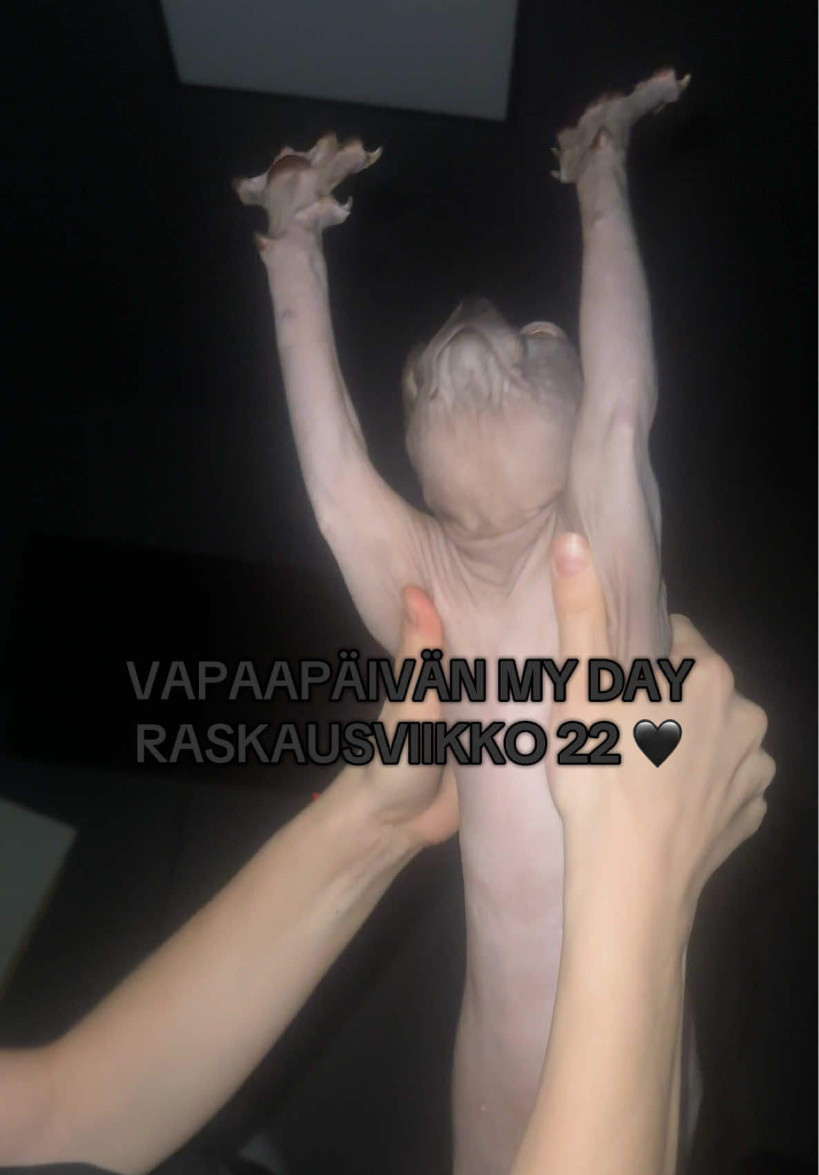 @Joanna Wallinheimo