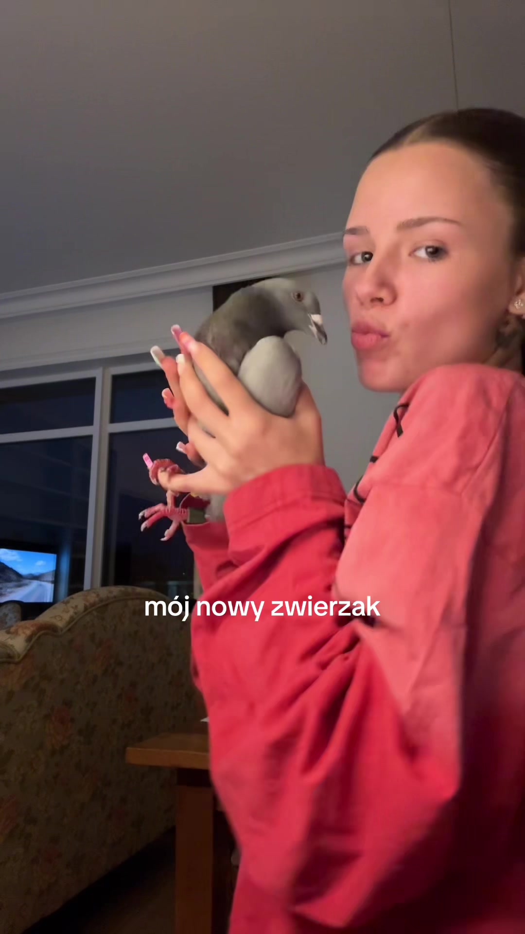 @zuzia