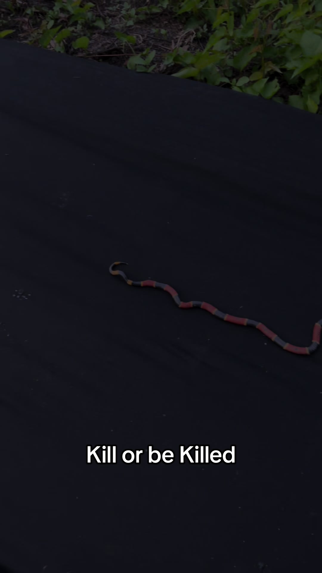 @bestlifetexas