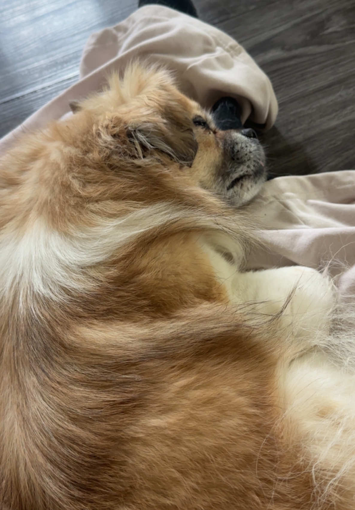 @𝓥𝓮𝓷𝓵𝓪 💋
