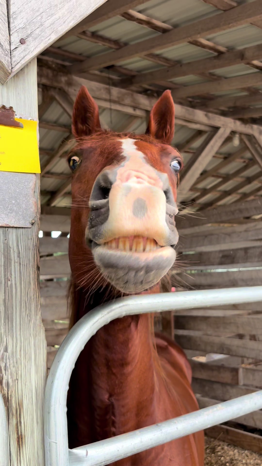 @Densmore Ranch
