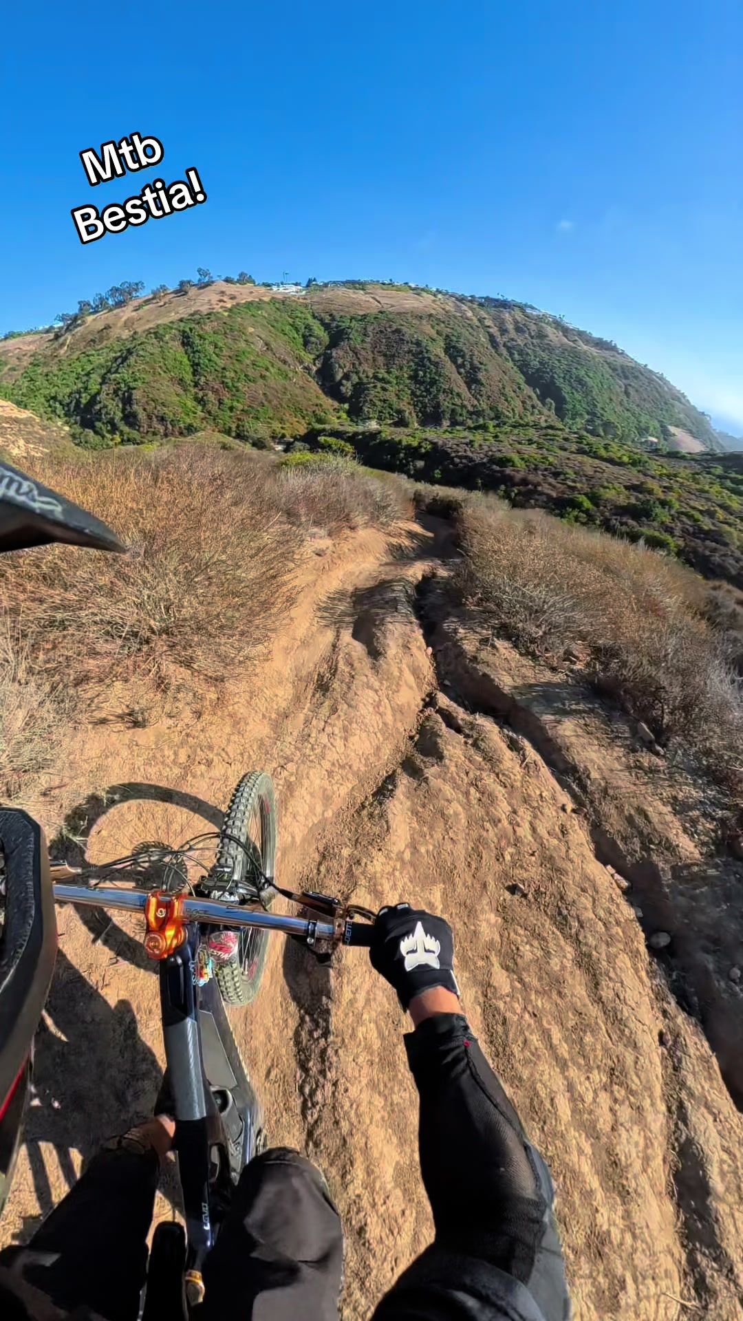 @Mtb BESTIA!