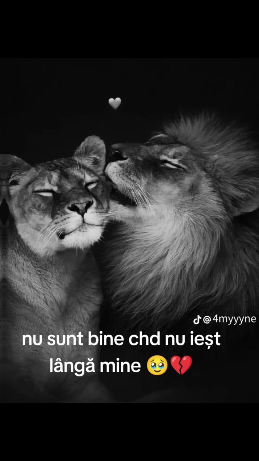 @❤️Gyna Alyn❤️