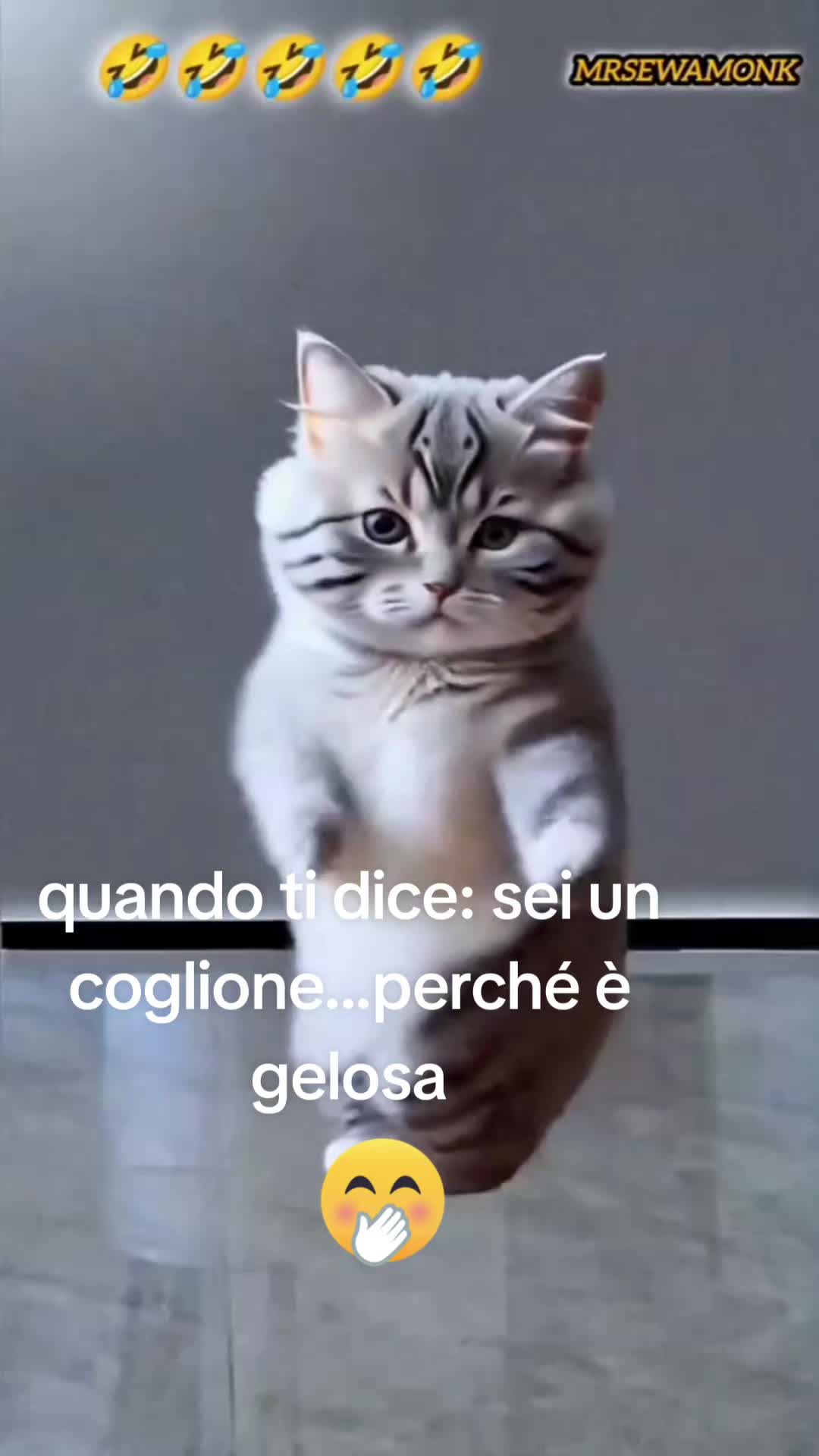 @❤️il solitario❤️