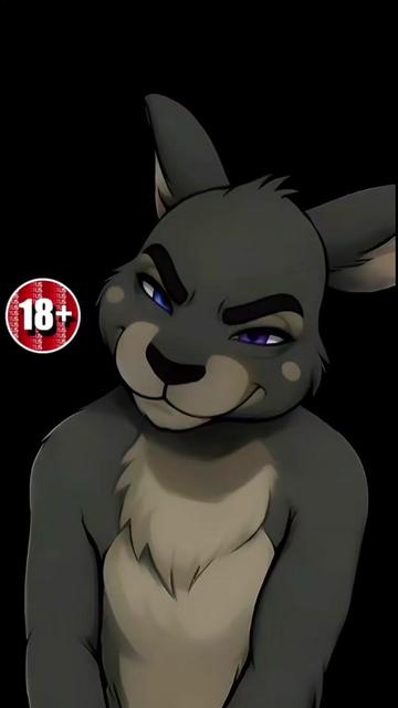 @Difficult Bunny!
