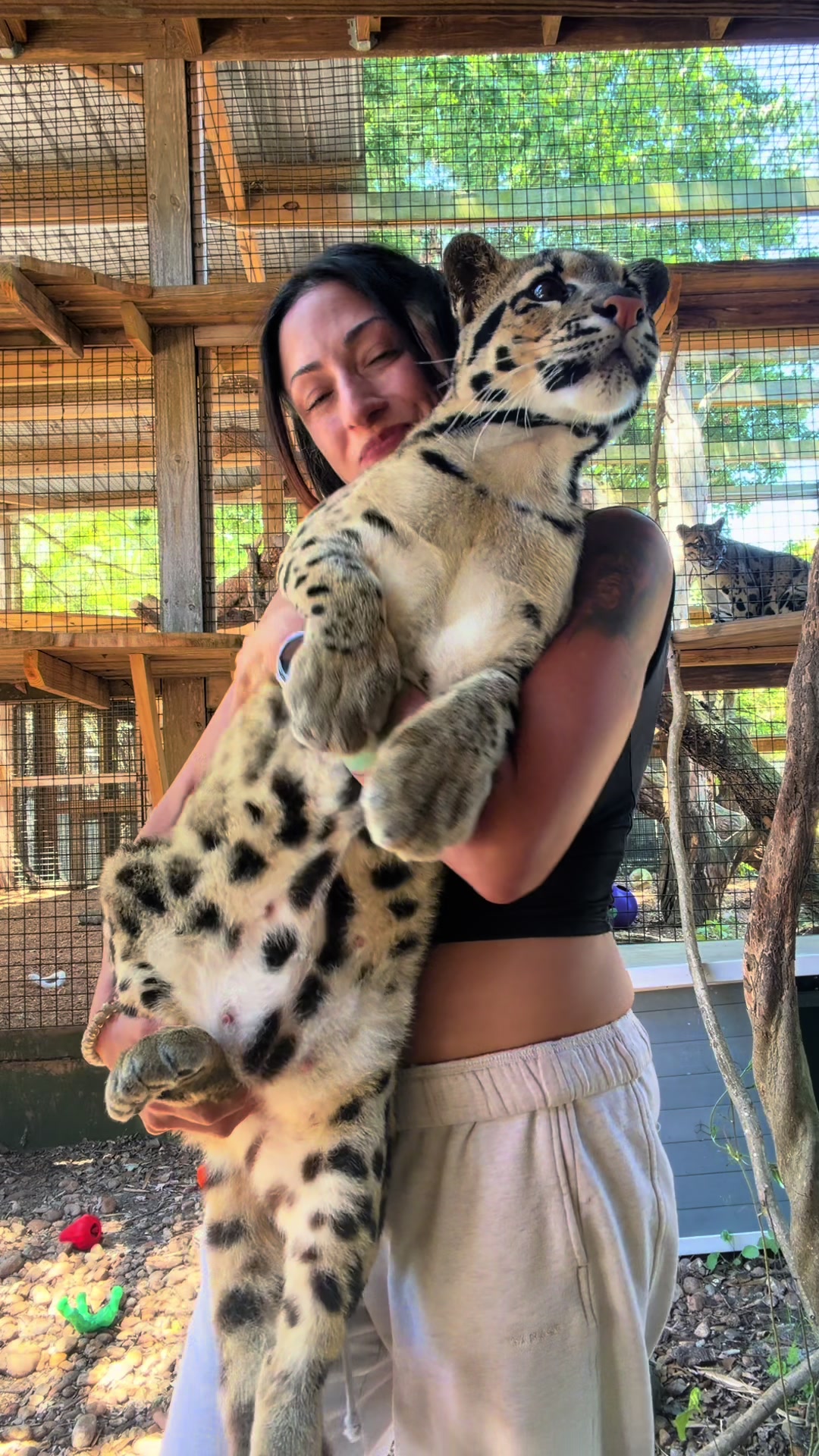 @Xtremeexotics