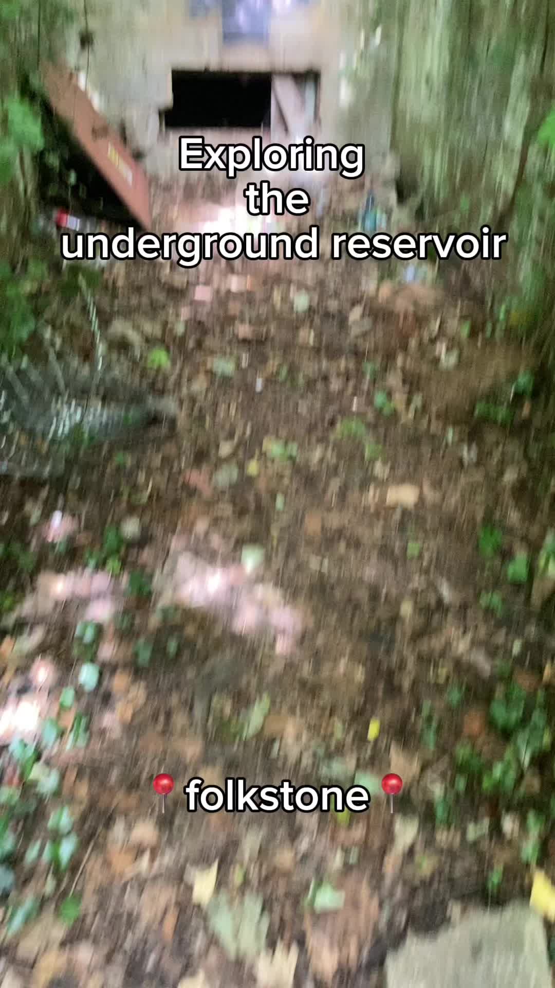 @Exploring with Ed