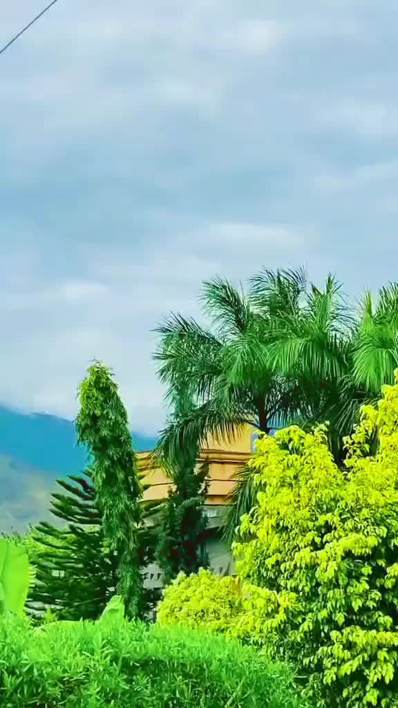 @•𝑄𝑢𝑒𝑒𝑛ꨄ︎• Hiba
