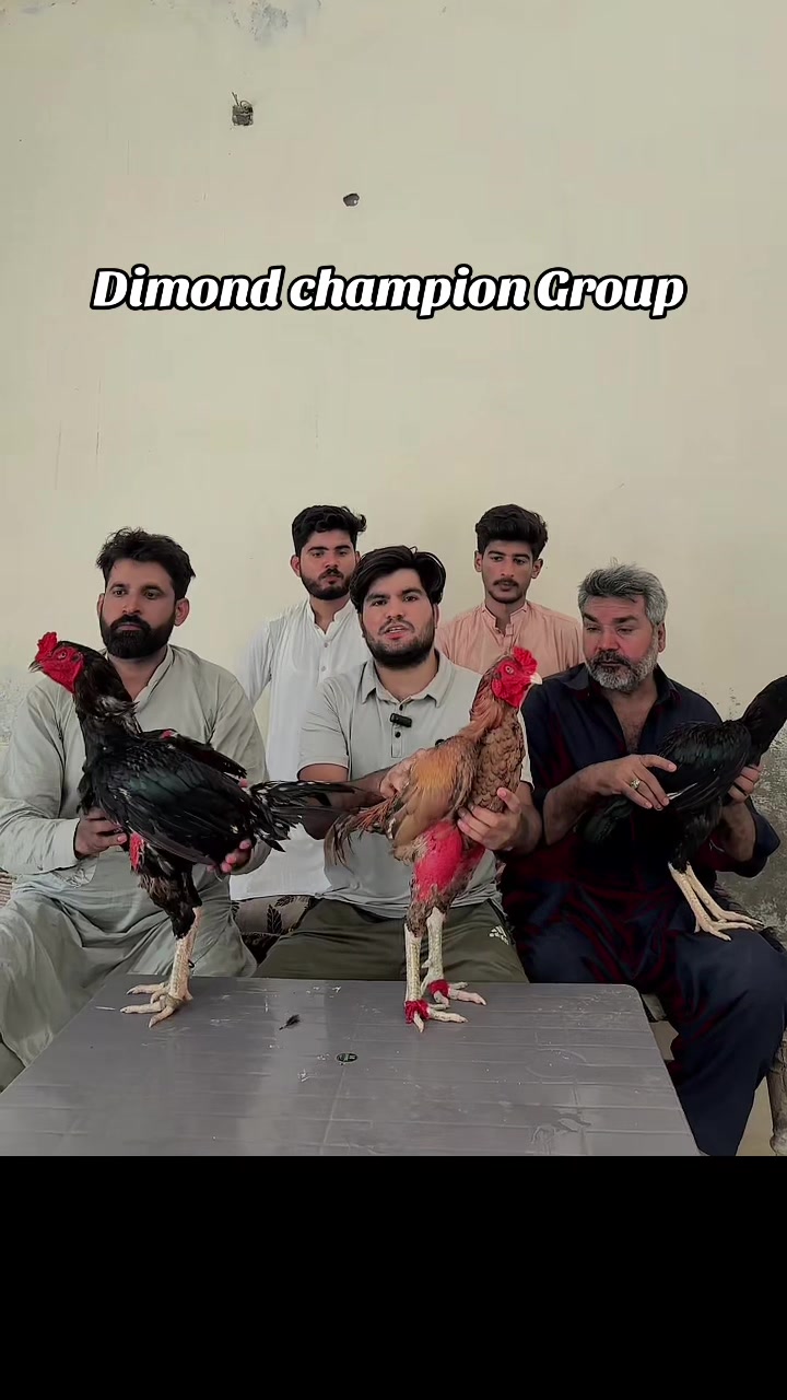 @🇹🇷الیاس بھٹی🇵🇰