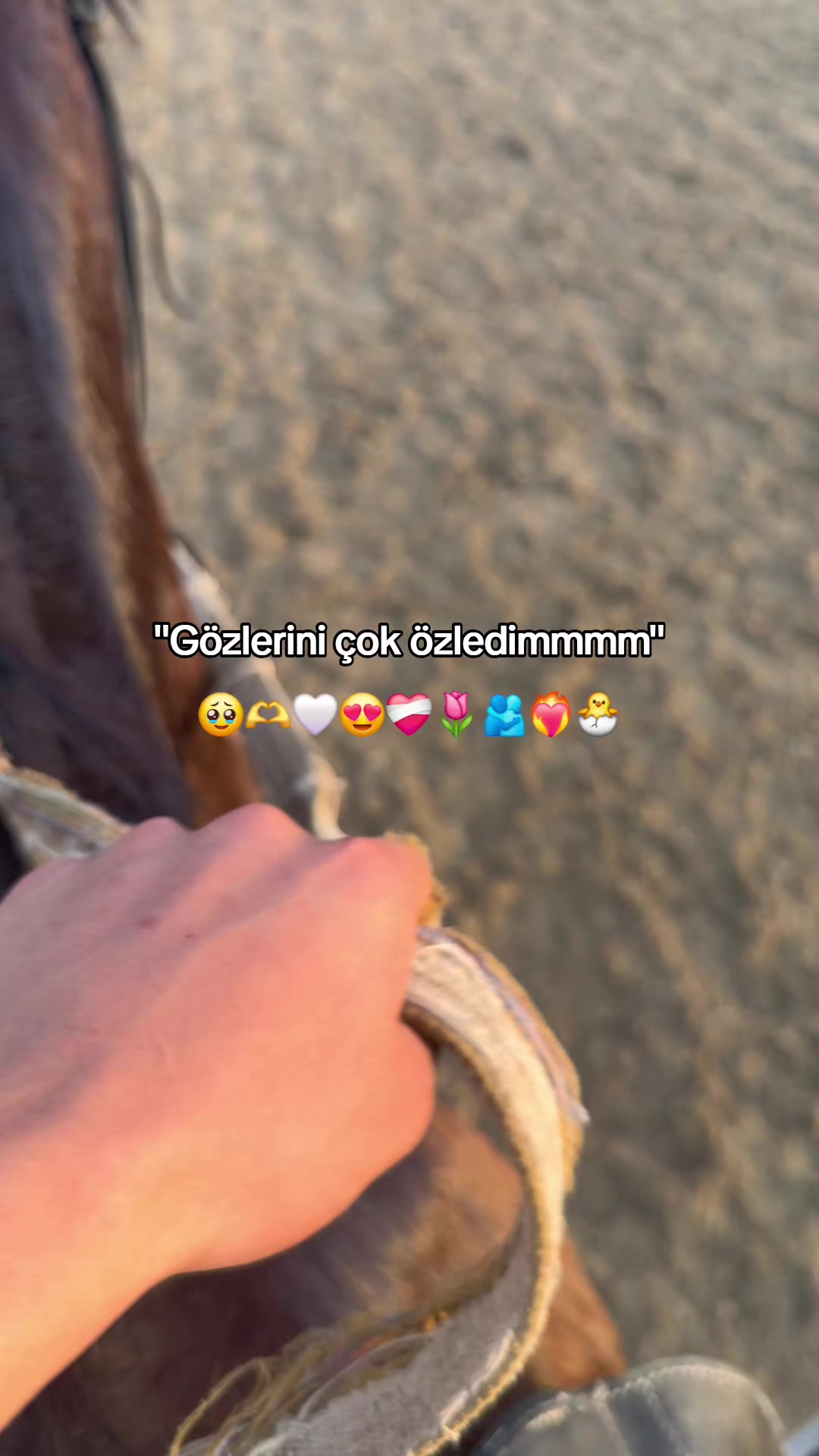 @Soyko 