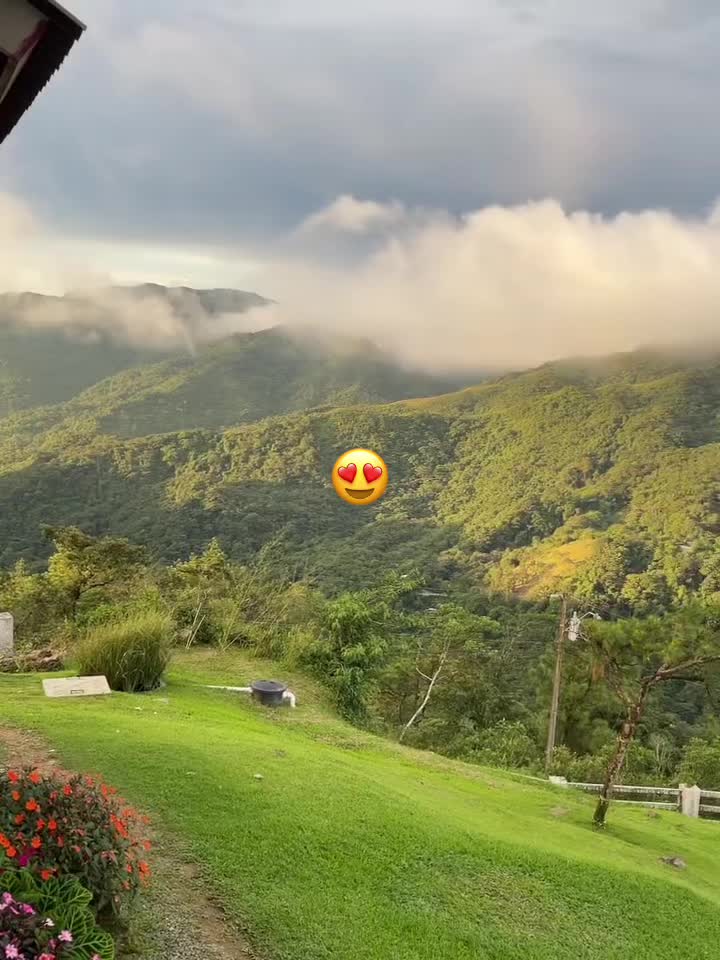 @𝒴𝓊𝓇𝓁𝑒𝓎 𐙚