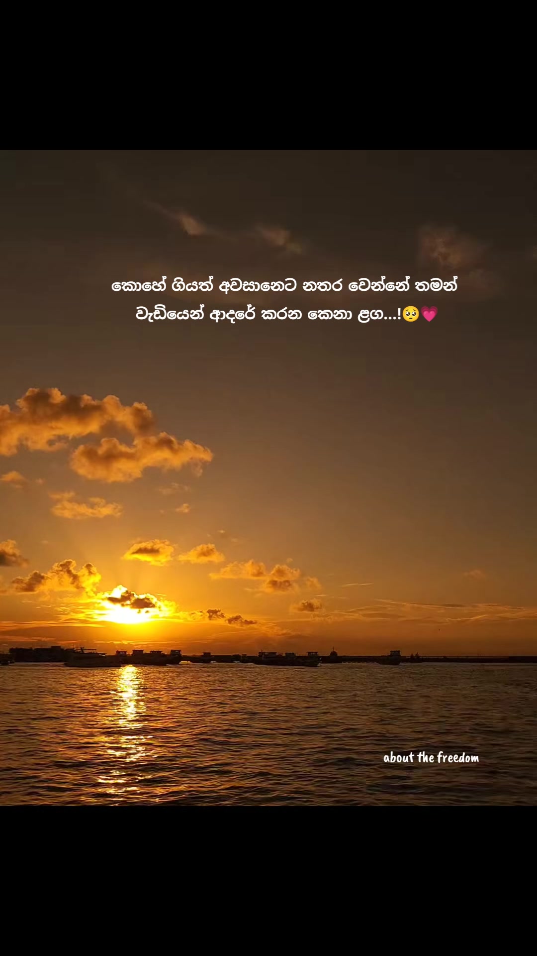 @About the freedom 💗🕊🧿
