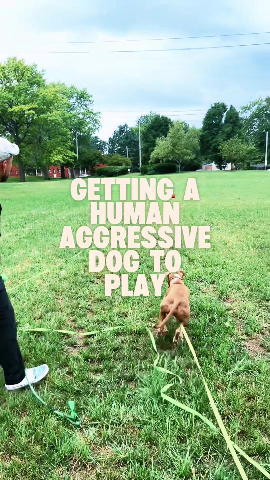 @Miracle K9 Training