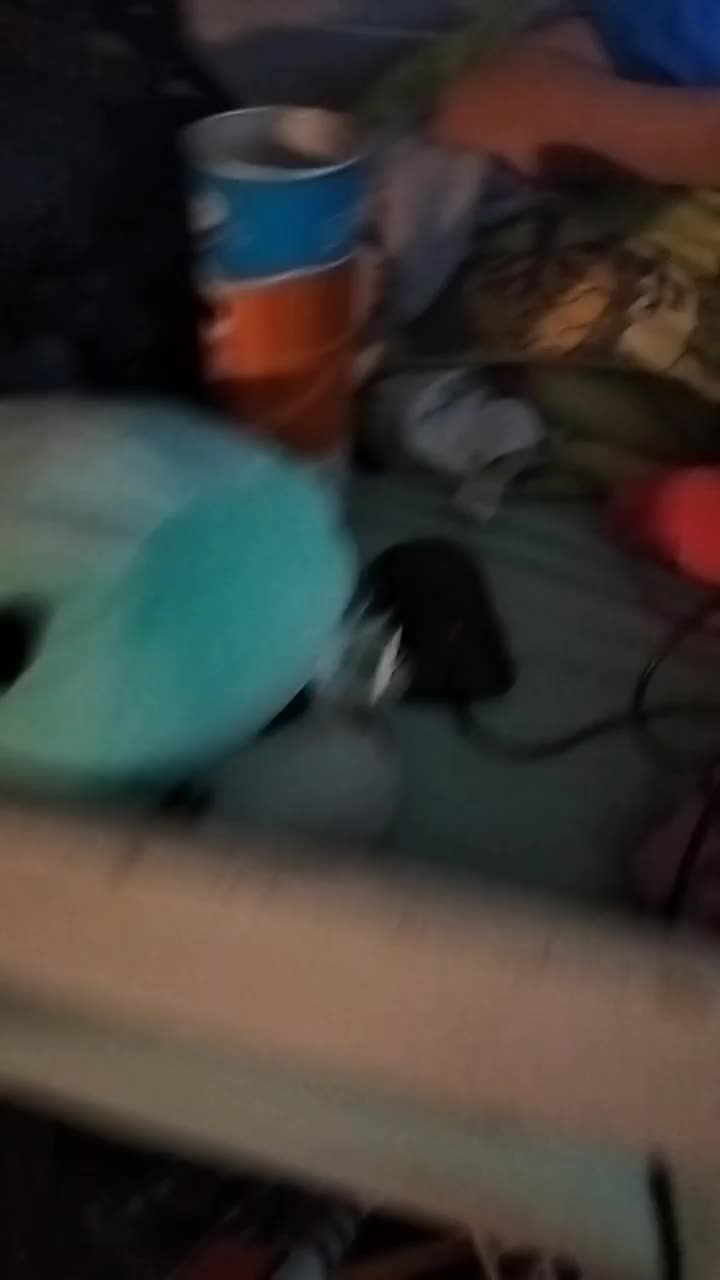 @sparrow_z