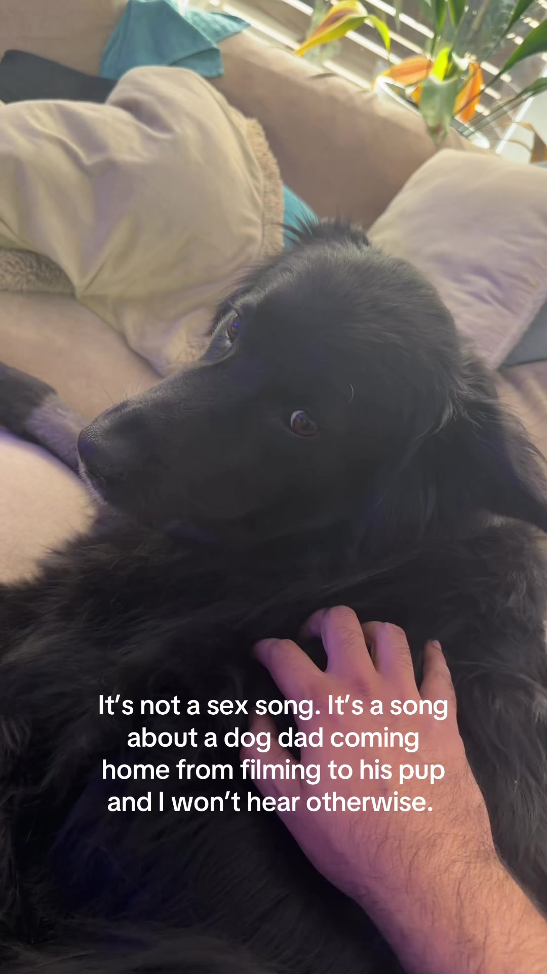 @Rahul Kohli