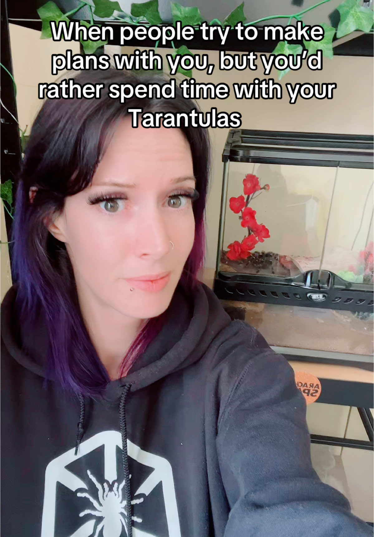 @The Tarantula twins 🕷️