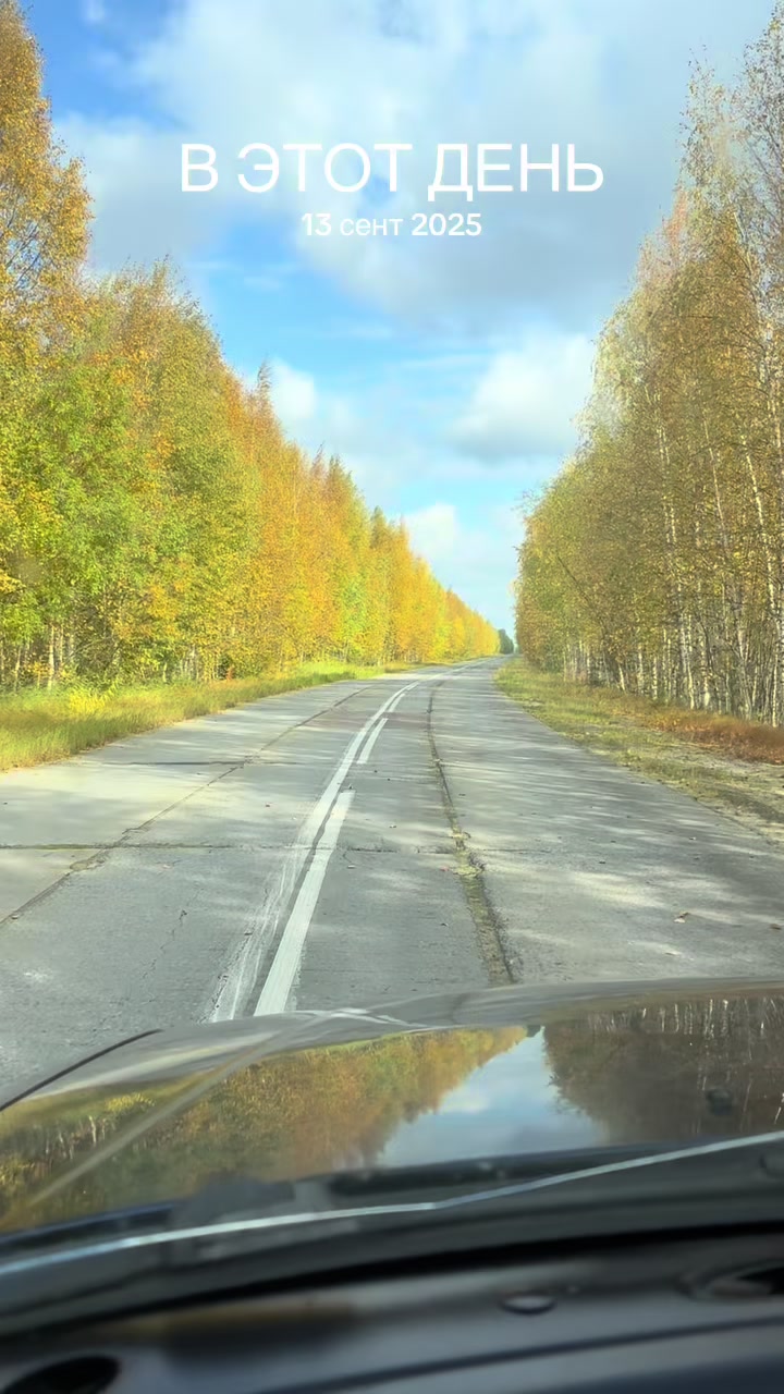 @Алеся Комарова