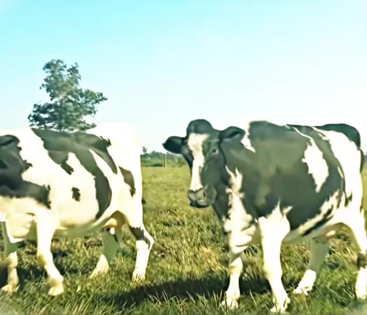 @𝐣𝐞𝐬𝐬𝐢𝐞
