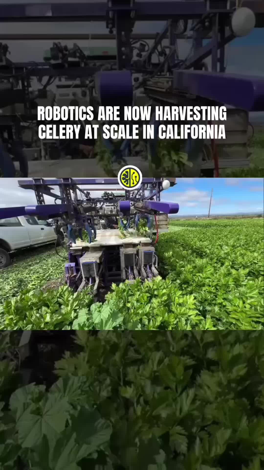 @TECH MEDIA