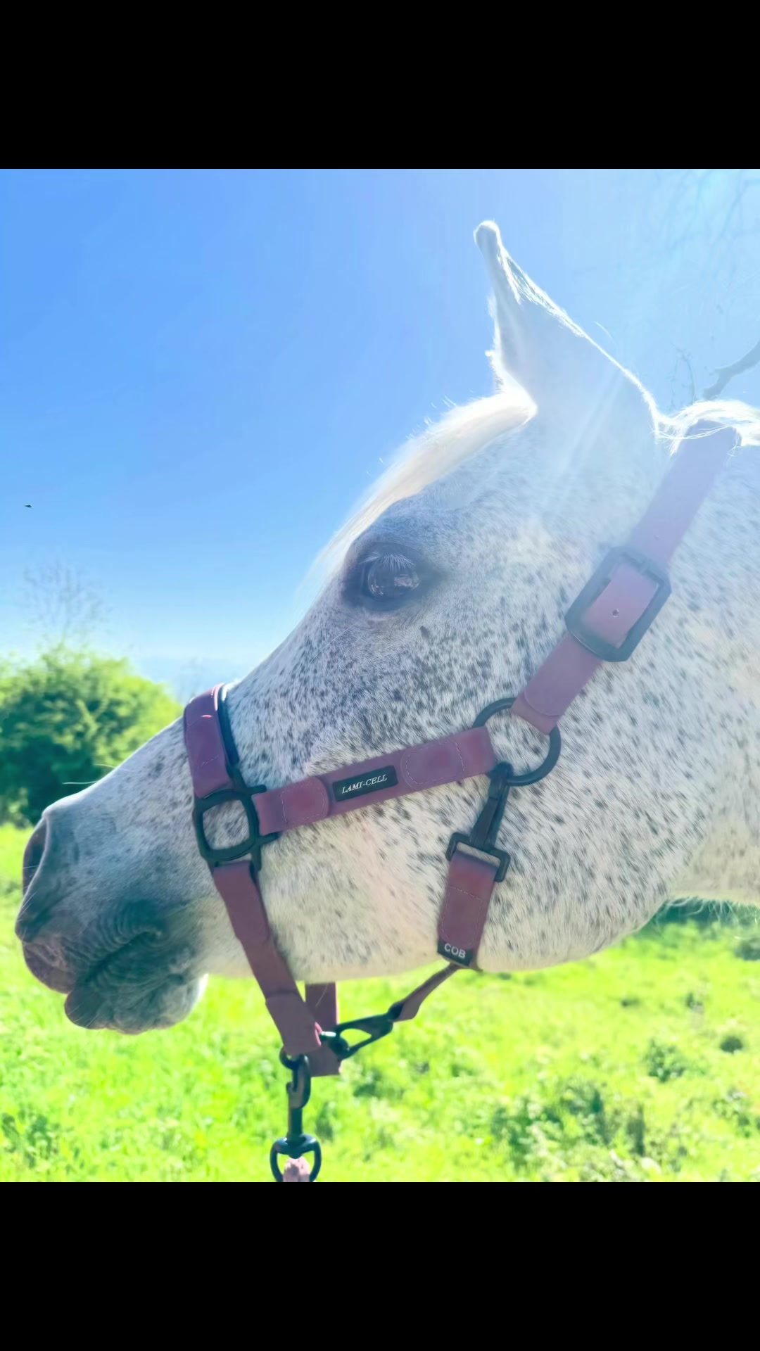 @PADD Clermont-Ferrand