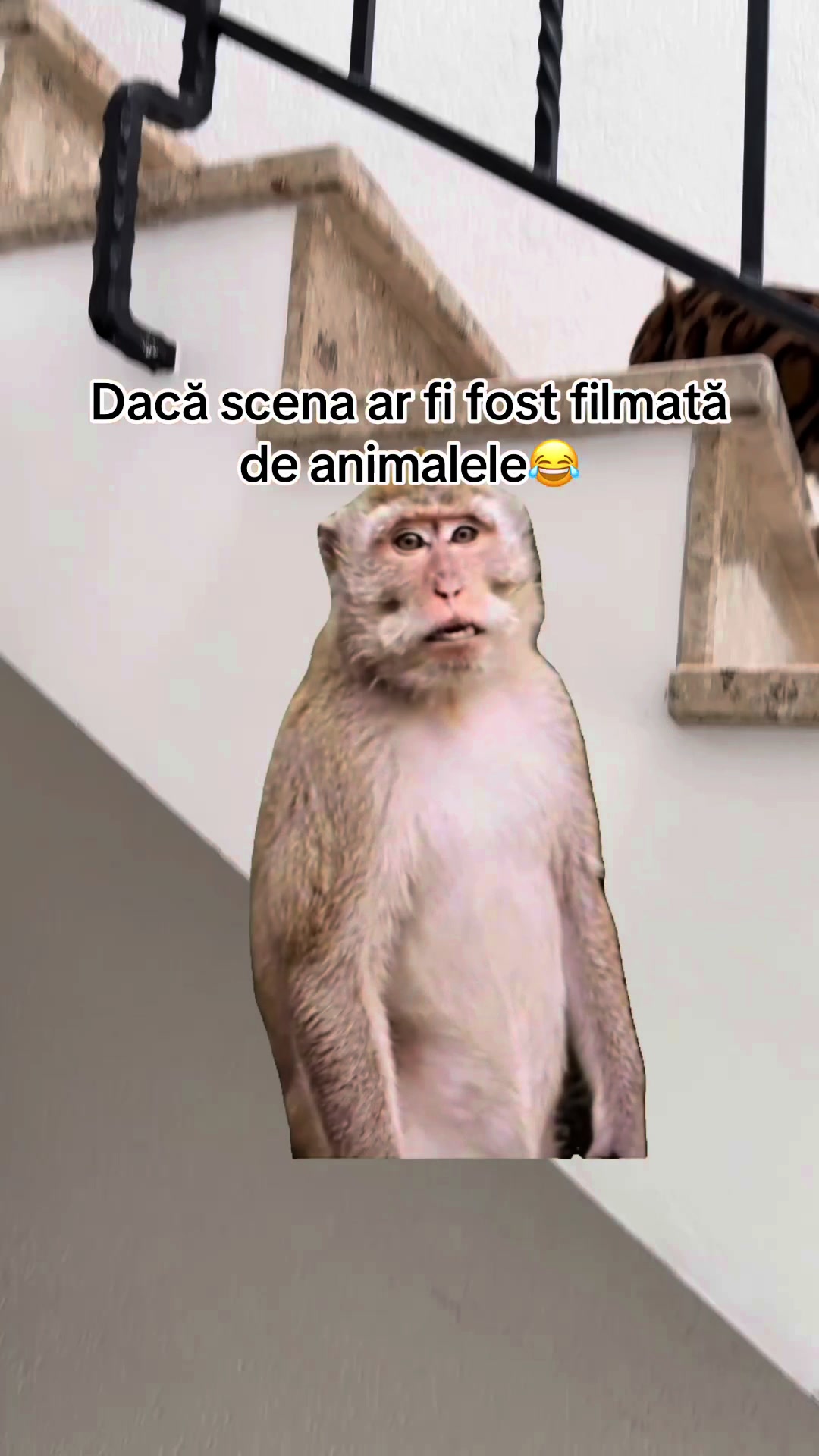 @alexdanNZP