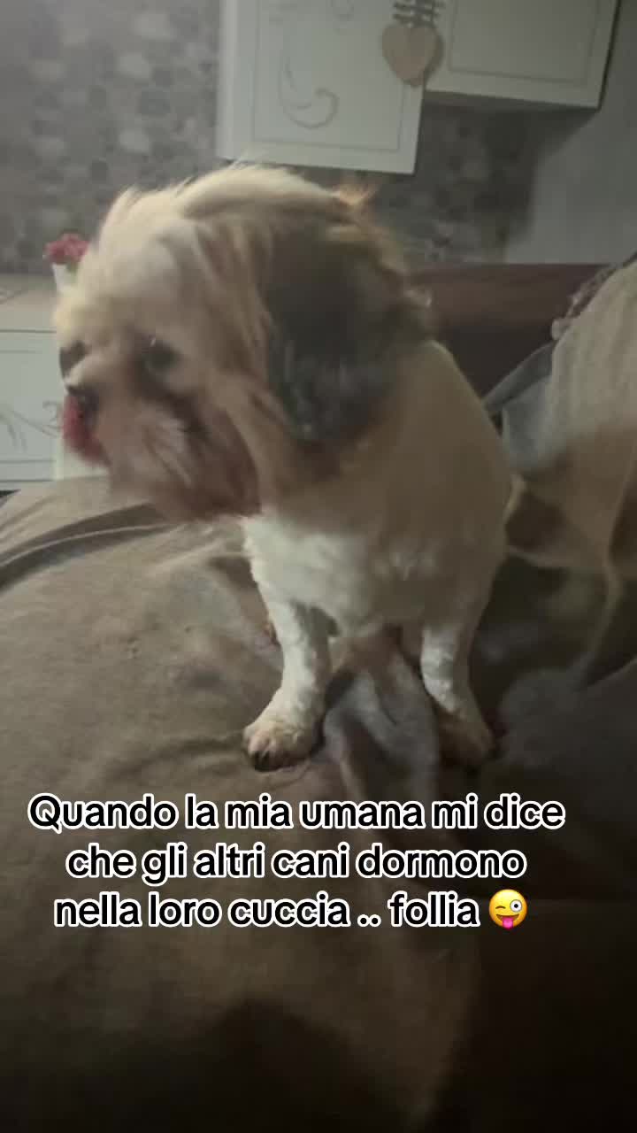 @♥️ FedeGinniOri♥️