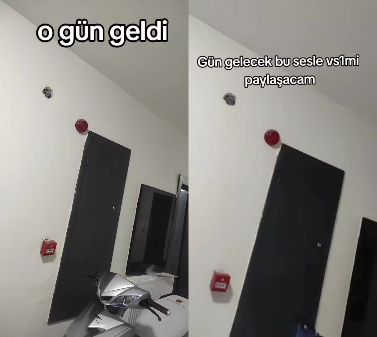 @𝕬𝖑𝖕𝖊𝖗𝖊𝖓 𝖉𝖔𝖌̆𝖆𝖓