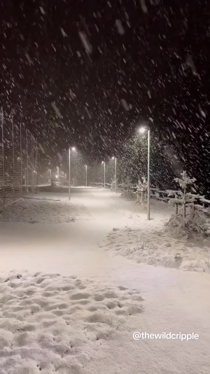 @Weather Insider