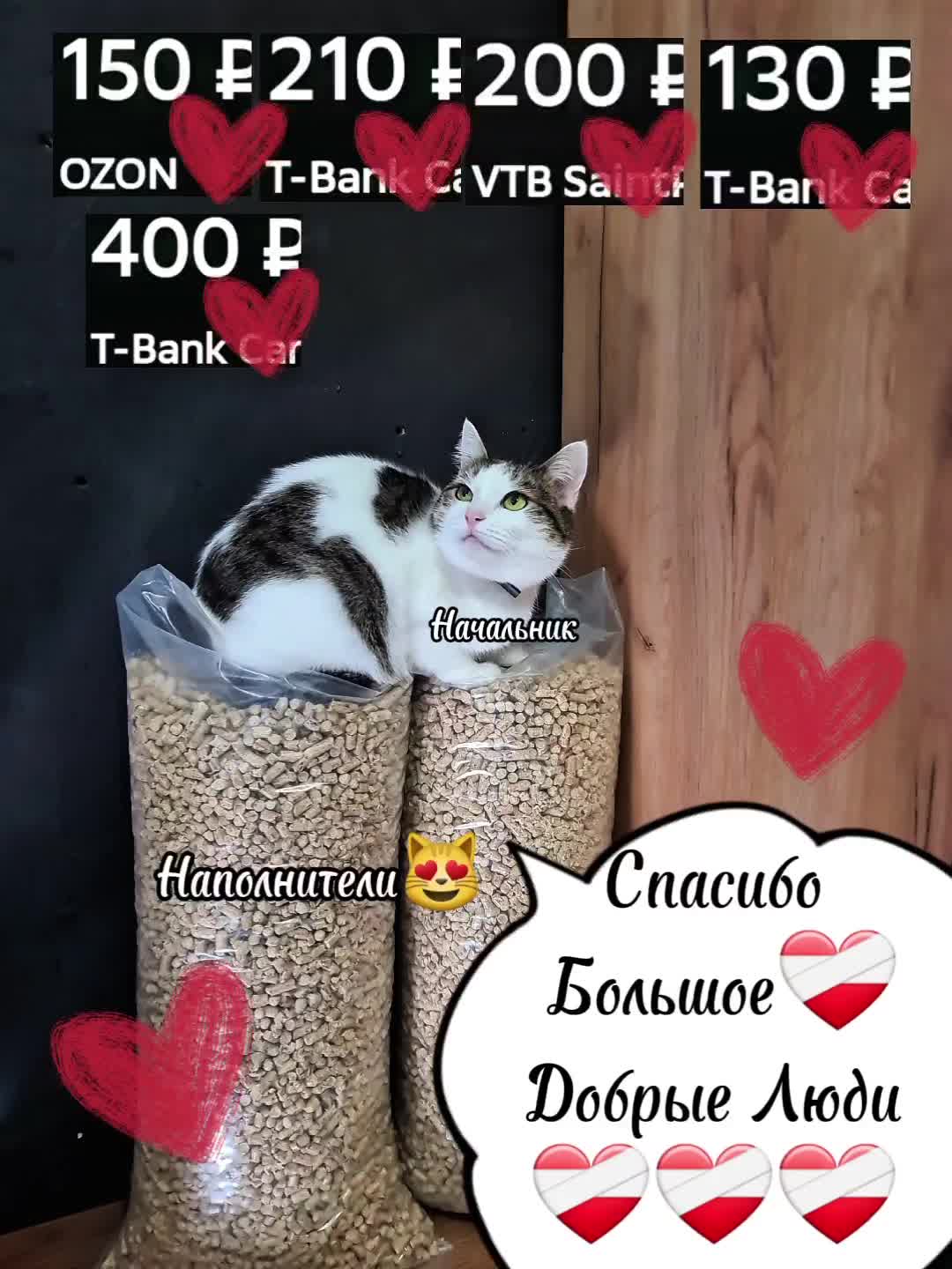 @Кошкин Дом