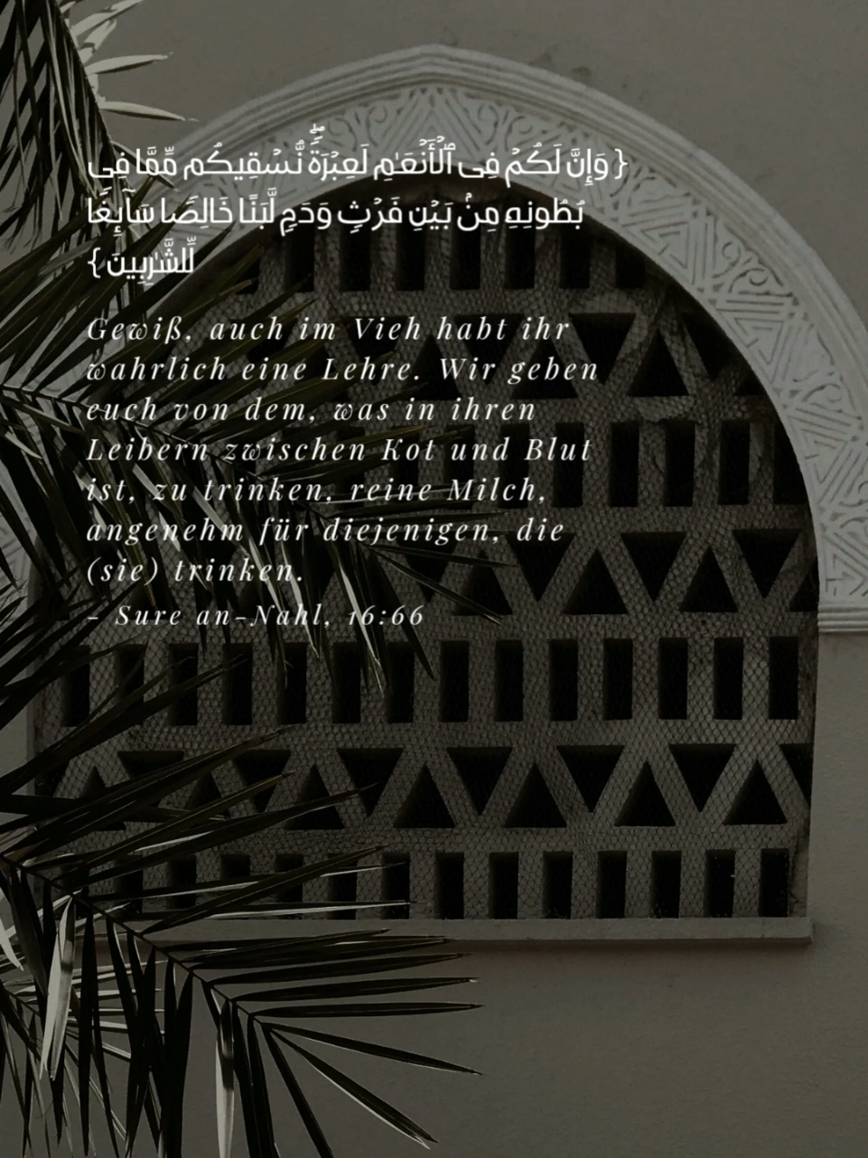 @Koranverse & Hadithe